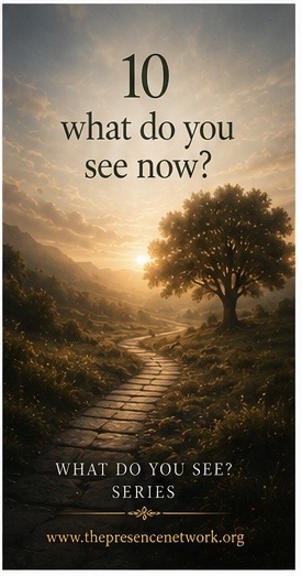 What do you see